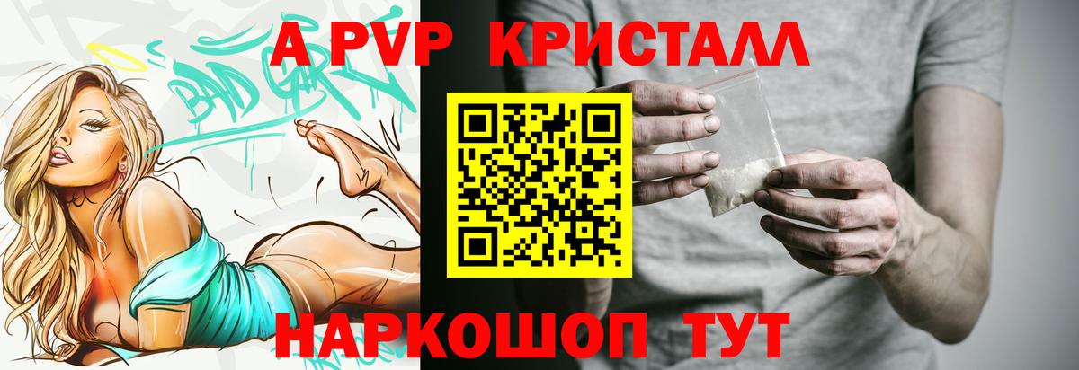 A PVP СК Соликамск