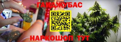 бошки Будённовск