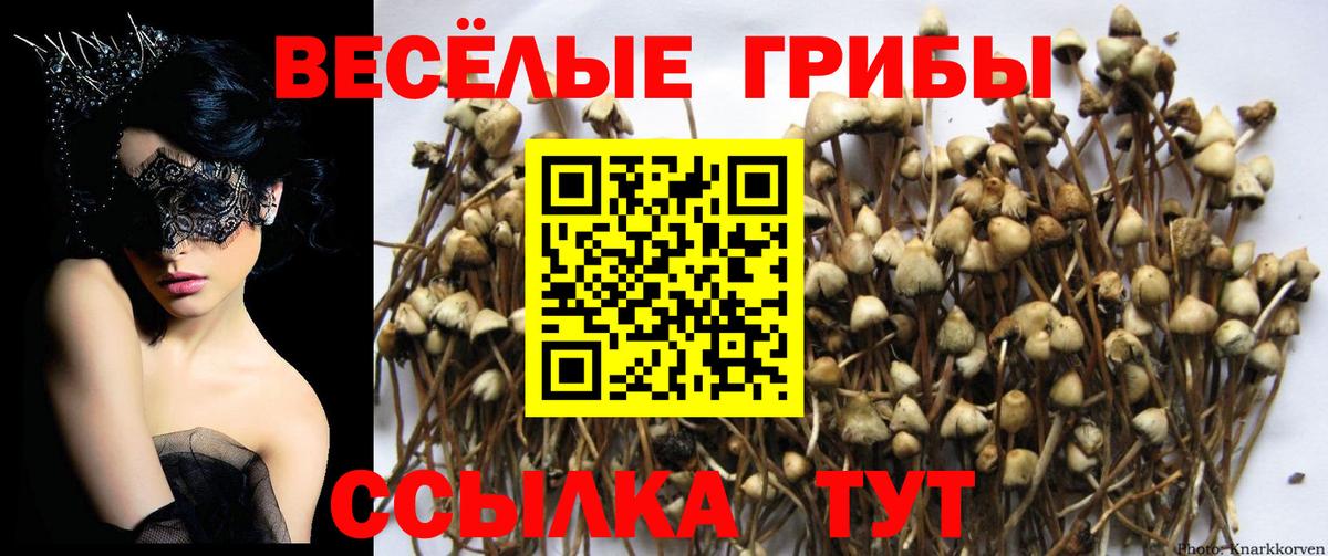 Псилоцибиновые грибы ЛСД  Вход с VPN  Галлюциногенные грибы прущие грибы  Соликамск 